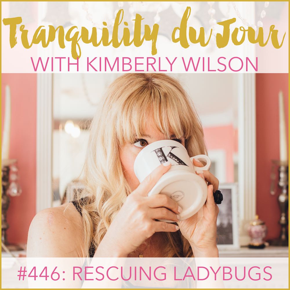 Tranquility du Jour 446 - Rescuing Ladybugs